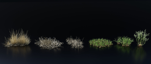 Grass Variety Pack 1