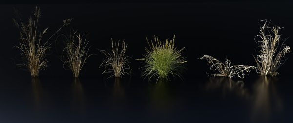 Grass Variety Pack 2