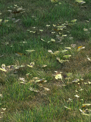 grass10-3d-model-402df44e4c