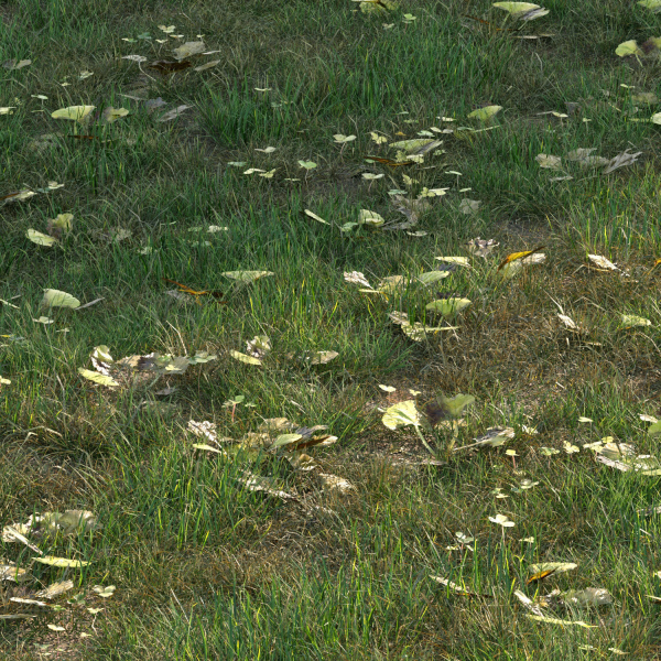 grass10