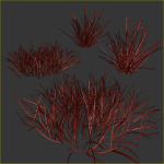 grass10