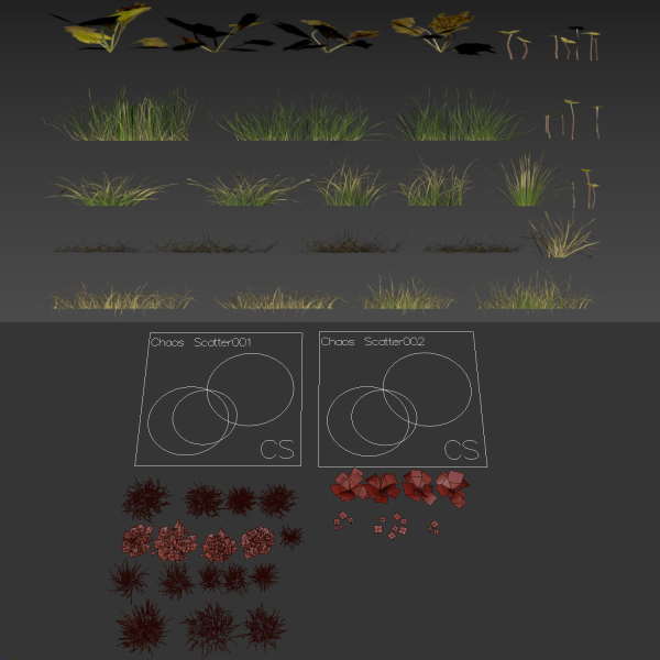 grass10