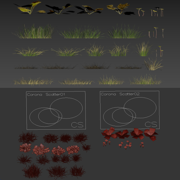 grass10