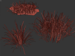 grass12