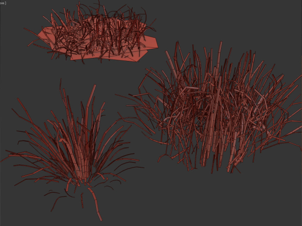 grass12