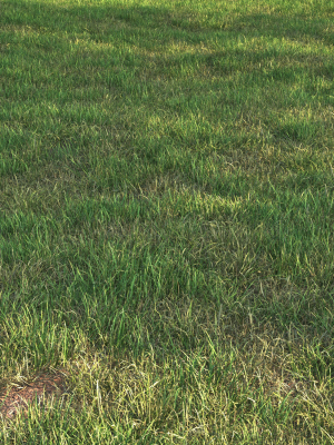 grass12-3d-model-6488dd6bd3