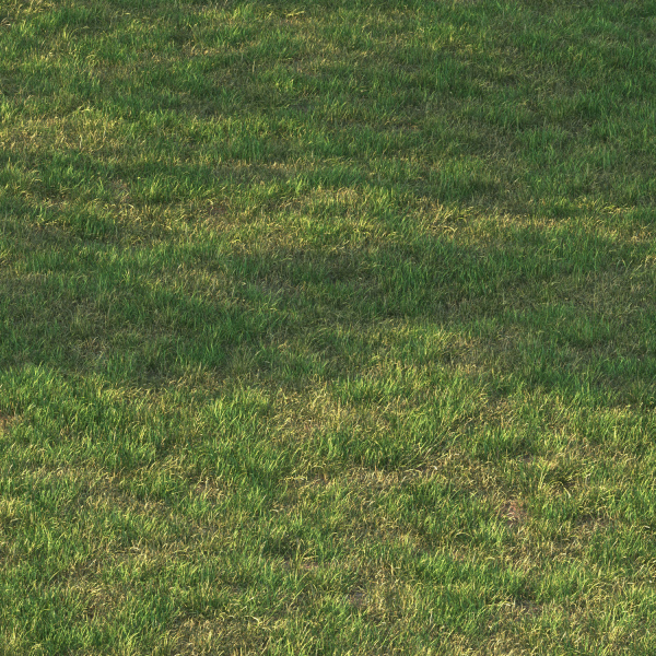 grass12