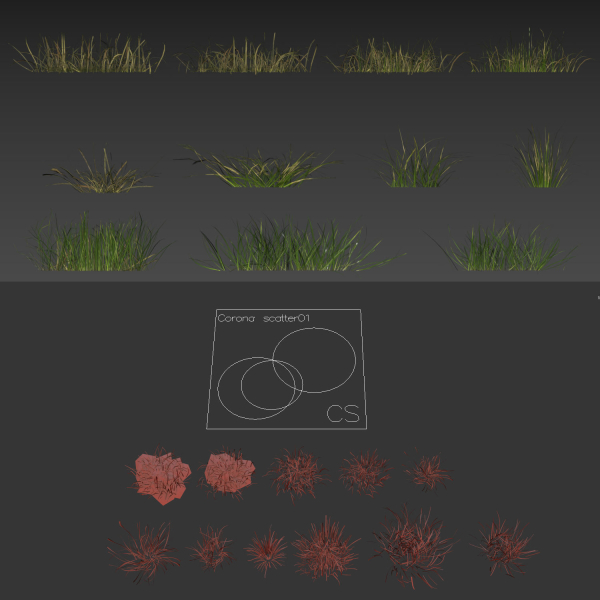 grass12