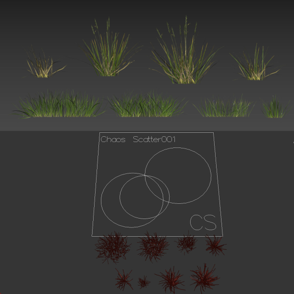 grass9