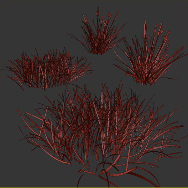 grass9