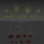 grass9