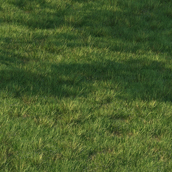 grass9