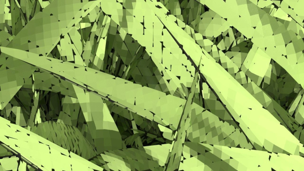 Grasses
