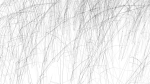 Grasses