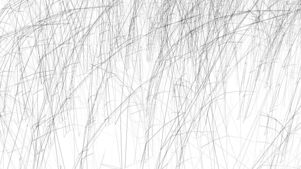 Grasses