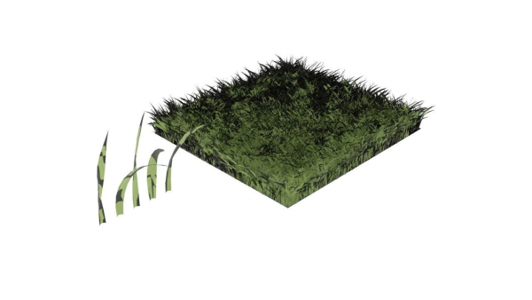 Grasses