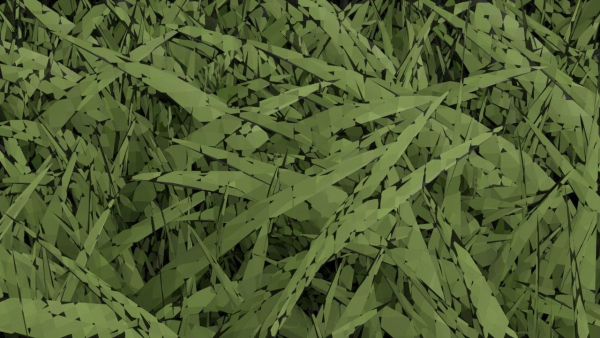 Grasses