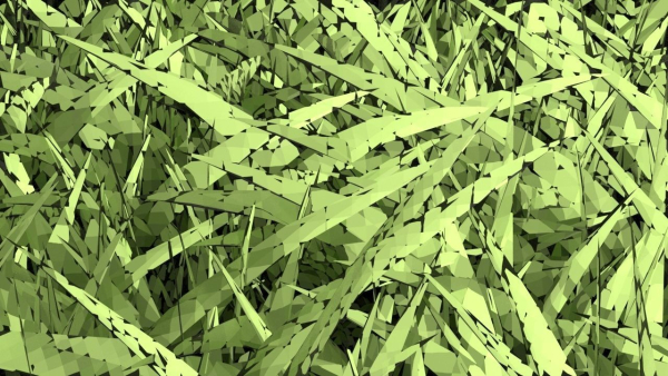 Grasses