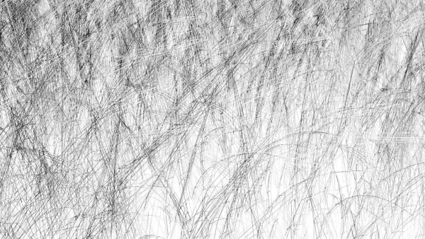 Grasses