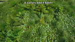 Grasses And Plants Pack unreal asset