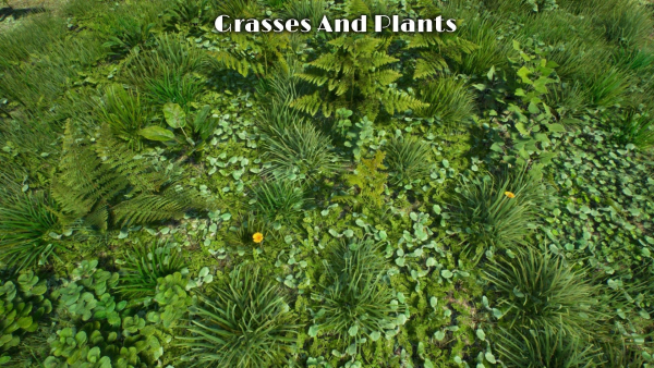 Grasses And Plants Pack unreal asset