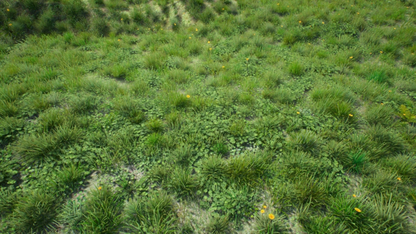 Grasses And Plants Pack unreal asset