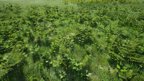 Grasses And Plants Pack unreal asset