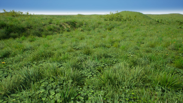 Grasses And Plants Pack unreal asset