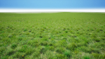 Grasses And Plants Pack unreal asset