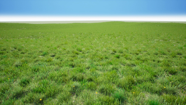 Grasses And Plants Pack unreal asset