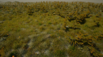 Grasses And Plants Pack unreal asset