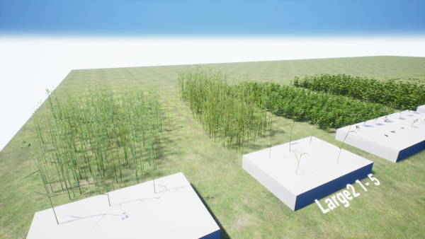 Grasses And Plants Pack unreal asset