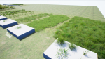 Grasses And Plants Pack unreal asset