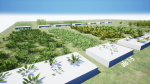 Grasses And Plants Pack unreal asset