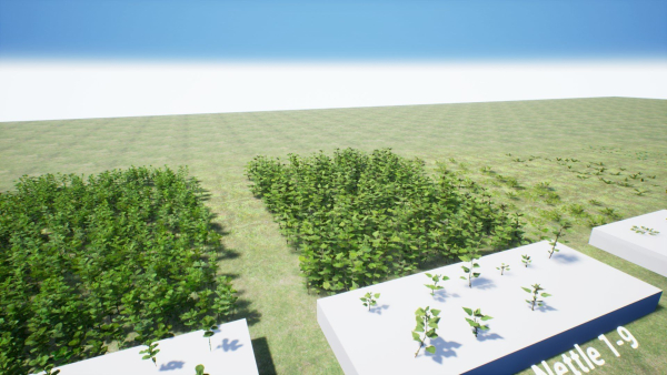 Grasses And Plants Pack unreal asset
