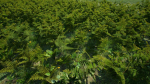 Grasses And Plants Pack unreal asset