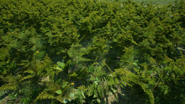 Grasses And Plants Pack unreal asset