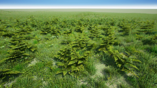 Grasses And Plants Pack unreal asset