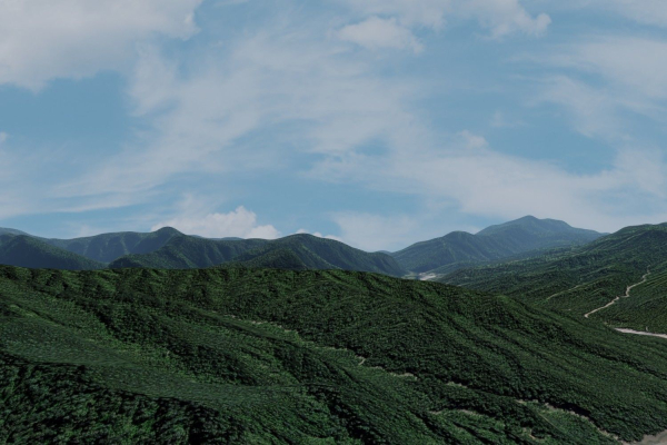 Grassy Hills Mountains Landscape - South America