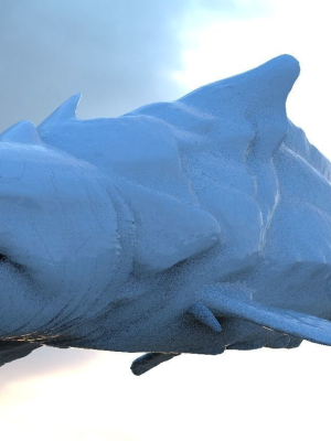 Great White Shark Hybrid mid size 3D