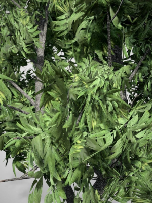 green-ash-tree-3d-model-low-poly-obj-3ds-fbx-dae-cga