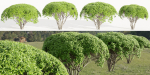 Green Bushes collection vol 193-Blender