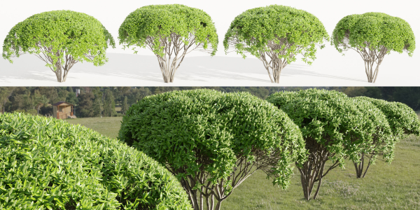 Green Bushes collection vol 193-Blender