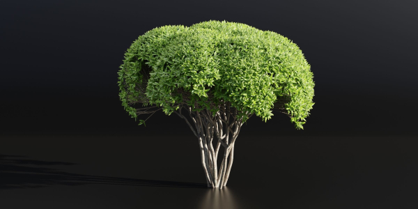 Green Bushes collection vol 193-Blender