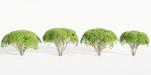 Green Bushes collection vol 193-Blender