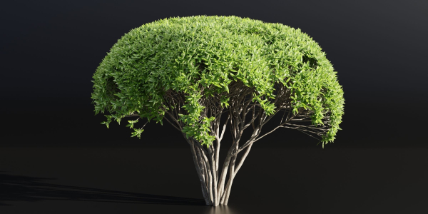 Green Bushes collection vol 193-Blender
