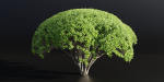 Green Bushes collection vol 193-Blender