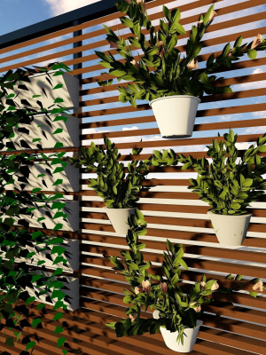 GREEN LOUVER WALL