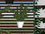 GREEN LOUVER WALL