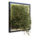 green wall set 044